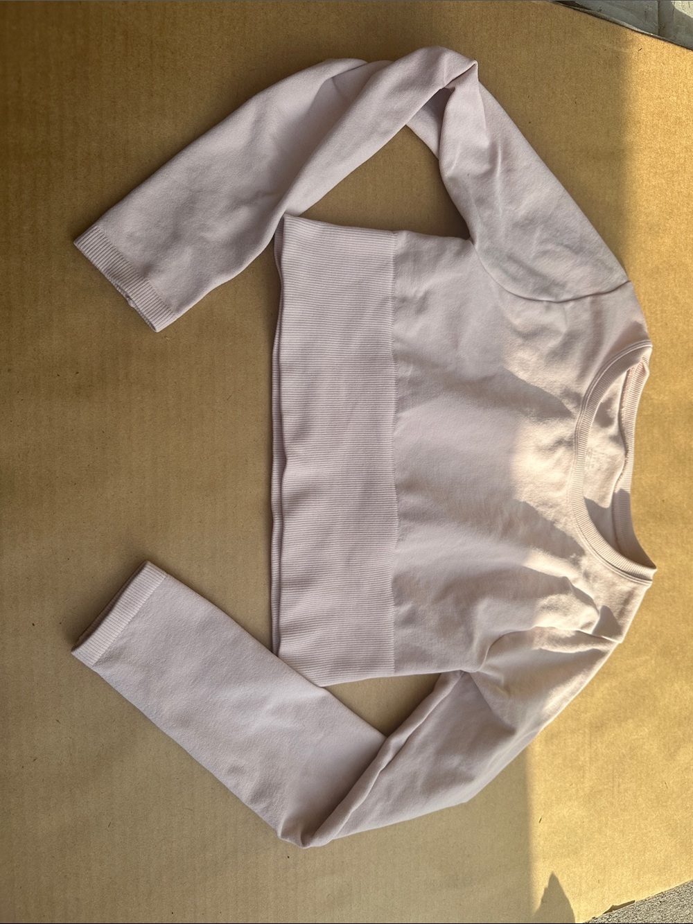 aerie Light Pink Cropped Long-Sleeve Top